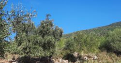 Plot of land 5,688 sq.m. for sale. in Perdika Thesprotia. €100,000 (116)