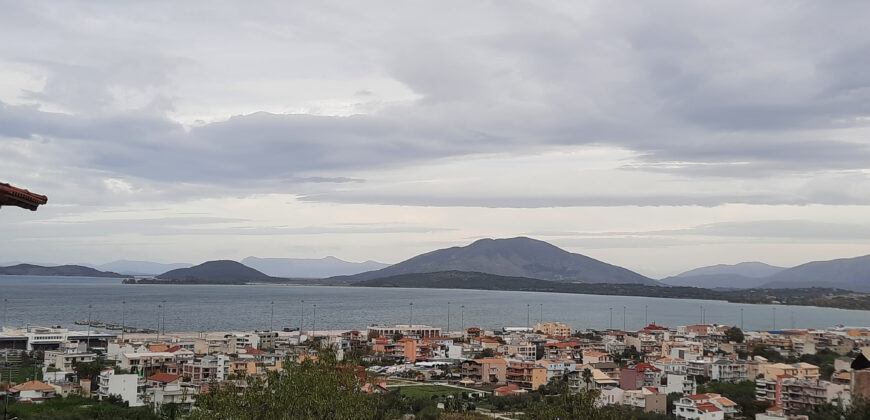 Πωλείται οικόπεδο με 152 τ.μ. στο Λαδοχώρι Ηγουμενίτσας  70.000€ (129)