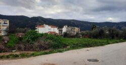 Πωλείται γωνιακό  οικόπεδο 306,50 τ.μ. στο Λαδοχώρι Ηγουμενίτσας. 91.000€ (130)