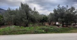 Plot of land of 400.84 sq m for sale in Ladochori, Igoumenitsa, 65,000€ (581)