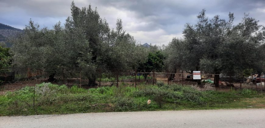 Plot of land of 400.84 sq m for sale in Ladochori, Igoumenitsa, 65,000€ (581)