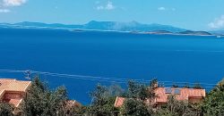 Detached house of 100 sq m for sale in Plataria, Thesprotia €370,000 (536)