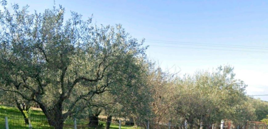 Πωλείται γωνιακό οικόπεδο 1.399,47 τ.μ. στην Πέρδικα Θεσπρωτίας. 170.000€ (113)