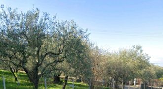 Πωλείται γωνιακό οικόπεδο 1.399,47 τ.μ. στην Πέρδικα Θεσπρωτίας. 170.000€ (113)