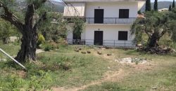Plot of land of 1,851.97 sq m for sale in Sivota, Thesprotia. €1,000,000 (309)