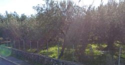 Πωλείται γωνιακό οικόπεδο 1.399,47 τ.μ. στην Πέρδικα Θεσπρωτίας. 170.000€ (113)
