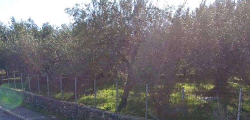 Πωλείται γωνιακό οικόπεδο 1.399,47 τ.μ. στην Πέρδικα Θεσπρωτίας. 170.000€ (113)