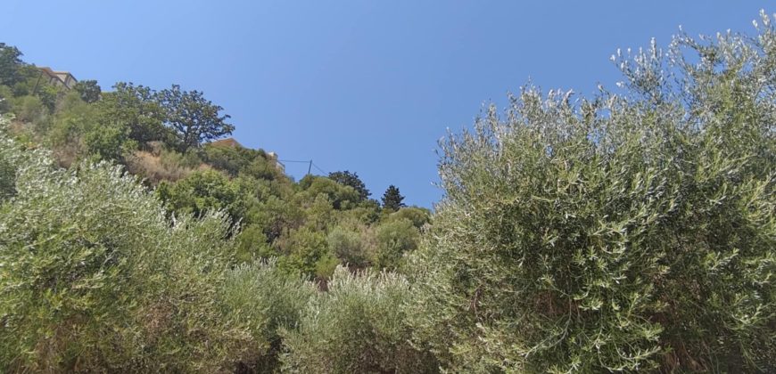 For sale plot of land 2,146.52 sq m in Sivota, Thesprotia 220,000€ (205)