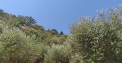 Πωλείται αγροτεμάχιο   2.146,52 τ.μ. στα Σύβοτα Θεσπρωτίας 220.000€ (205)