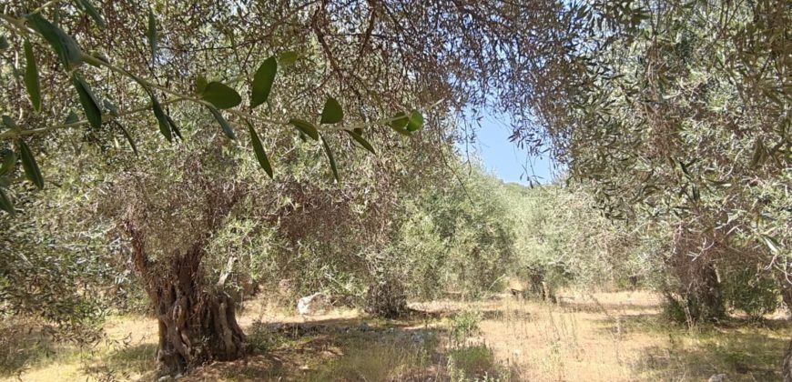 For sale plot of land 2,146.52 sq m in Sivota, Thesprotia 220,000€ (205)