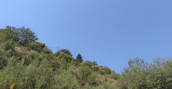 For sale plot of land 2,146.52 sq m in Sivota, Thesprotia 220,000€ (205)
