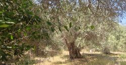 For sale plot of land 2,146.52 sq m in Sivota, Thesprotia 220,000€ (205)