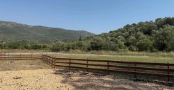 Πωλείται αγροτεμάχιο 7.187 τ.μ. στην Σκορπιώνα Πλαταριάς 90.000€ (172)