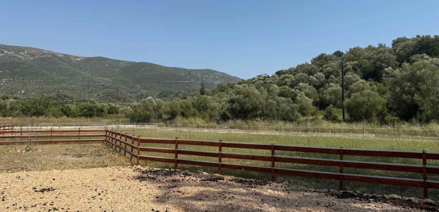 Πωλείται αγροτεμάχιο 7.187 τ.μ. στην Σκορπιώνα Πλαταριάς 90.000€ (172)