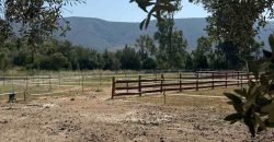 Πωλείται αγροτεμάχιο 7.187 τ.μ. στην Σκορπιώνα Πλαταριάς 90.000€ (172)
