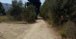 Πωλείται αγροτεμάχιο 7.187 τ.μ. στην Σκορπιώνα Πλαταριάς 90.000€ (172)