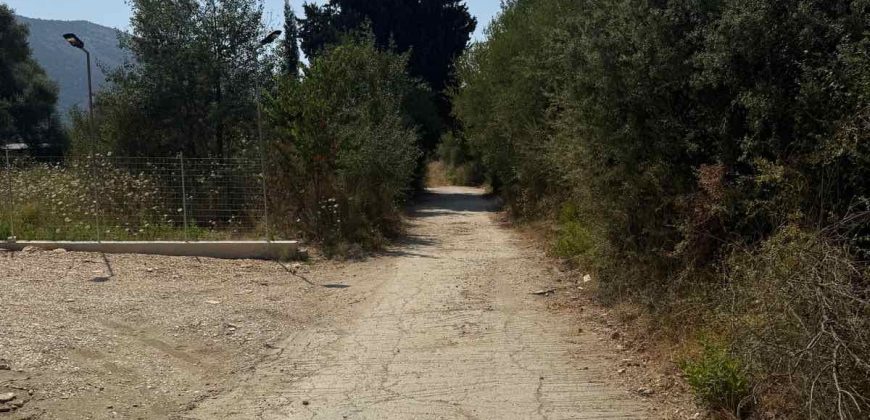 Πωλείται αγροτεμάχιο 7.187 τ.μ. στην Σκορπιώνα Πλαταριάς 90.000€ (172)