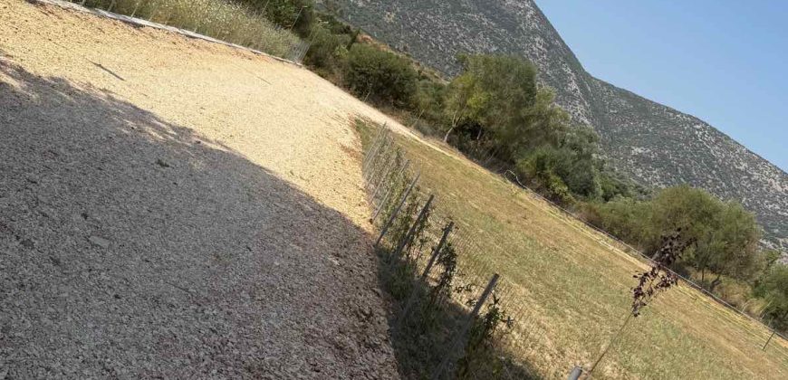 For sale 7,187 sq m plot of land in Skorpiona, Plataria 90,000€ (172)