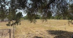 Πωλείται αγροτεμάχιο 7.187 τ.μ. στην Σκορπιώνα Πλαταριάς 90.000€ (172)