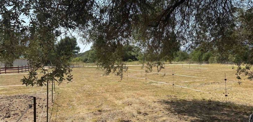 Πωλείται αγροτεμάχιο 7.187 τ.μ. στην Σκορπιώνα Πλαταριάς 90.000€ (172)