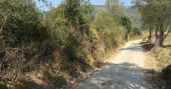 Πωλείται αγροτεμάχιο 7.187 τ.μ. στην Σκορπιώνα Πλαταριάς 90.000€ (172)