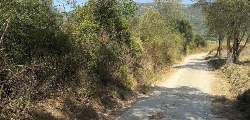 Πωλείται αγροτεμάχιο 7.187 τ.μ. στην Σκορπιώνα Πλαταριάς 90.000€ (172)