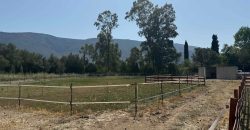 Πωλείται αγροτεμάχιο 7.187 τ.μ. στην Σκορπιώνα Πλαταριάς 90.000€ (172)