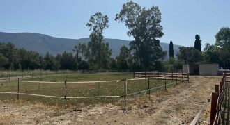 Πωλείται αγροτεμάχιο 7.187 τ.μ. στην Σκορπιώνα Πλαταριάς 90.000€ (172)