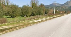 For sale plot of land-olive grove 4,518.21 sq m in Mazarakia, Igoumenitsa 68,000€ (123)