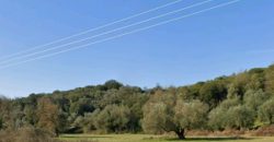 For sale plot of land-olive grove 4,518.21 sq m in Mazarakia, Igoumenitsa 68,000€ (123)