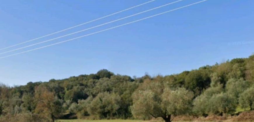 For sale plot of land-olive grove 4,518.21 sq m in Mazarakia, Igoumenitsa 68,000€ (123)