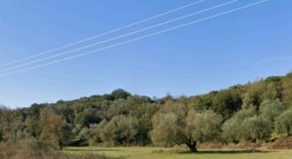 For sale plot of land-olive grove 4,518.21 sq m in Mazarakia, Igoumenitsa 68,000€ (123)
