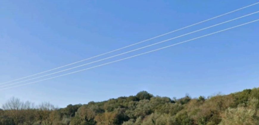 For sale plot of land-olive grove 4,518.21 sq m in Mazarakia, Igoumenitsa 68,000€ (123)