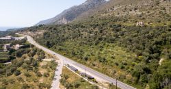 Plot of land of 6,631 sq m for sale in Plataria, Igoumenitsa, €550,000 (020)