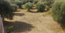 Πωλείται μονοκατοικία 154 τ.μ. στα Σύβοτα Θεσπρωτίας 250.000€ (048)