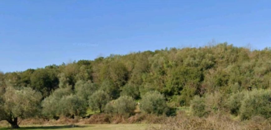 For sale plot of land-olive grove 4,518.21 sq m in Mazarakia, Igoumenitsa 68,000€ (123)