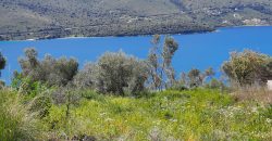 Panoramic plot of land of 555.25 sq m for sale in Plataria, Thesprotia €140,000 (335)