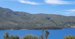 Panoramic plot of land of 555.25 sq m for sale in Plataria, Thesprotia €140,000 (335)