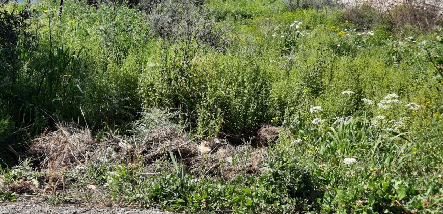 Panoramic plot of land of 555.25 sq m for sale in Plataria, Thesprotia €140,000 (335)