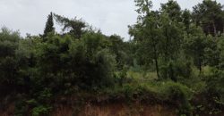 Πωλείται διαμέρισμα 62,50 τ.μ. στην Ηγουμενίτσα Θεσπρωτίας 77.000€  (085)