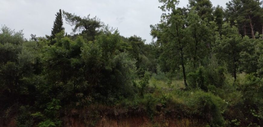 Πωλείται διαμέρισμα 62,50 τ.μ. στην Ηγουμενίτσα Θεσπρωτίας 77.000€  (085)