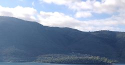 Πωλείται πανοραμικό αγροτεμάχιο 7.265,76 τ.μ. στην Πλαταριά Θεσπρωτίας 420.000€ ( 091)