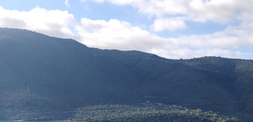 Πωλείται πανοραμικό αγροτεμάχιο 7.265,76 τ.μ. στην Πλαταριά Θεσπρωτίας 420.000€ ( 091)