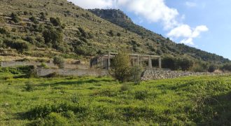 Πωλείται πανοραμικό αγροτεμάχιο 7.265,76 τ.μ. στην Πλαταριά Θεσπρωτίας 420.000€ ( 091)