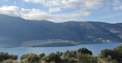 Πωλείται πανοραμικό αγροτεμάχιο 7.265,76 τ.μ. στην Πλαταριά Θεσπρωτίας 420.000€ ( 091)