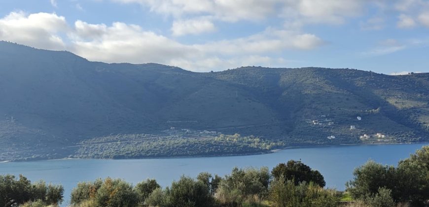 Πωλείται πανοραμικό αγροτεμάχιο 7.265,76 τ.μ. στην Πλαταριά Θεσπρωτίας 420.000€ ( 091)