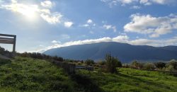 Πωλείται πανοραμικό αγροτεμάχιο 7.265,76 τ.μ. στην Πλαταριά Θεσπρωτίας 420.000€ ( 091)