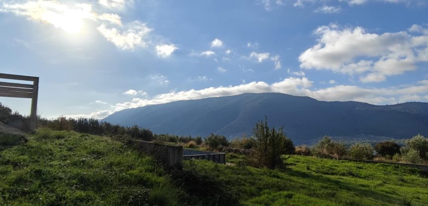 Πωλείται πανοραμικό αγροτεμάχιο 7.265,76 τ.μ. στην Πλαταριά Θεσπρωτίας 420.000€ ( 091)