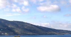 Πωλείται πανοραμικό αγροτεμάχιο 7.265,76 τ.μ. στην Πλαταριά Θεσπρωτίας 420.000€ ( 091)