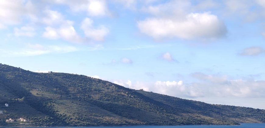 Πωλείται πανοραμικό αγροτεμάχιο 7.265,76 τ.μ. στην Πλαταριά Θεσπρωτίας 420.000€ ( 091)